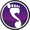 salsero icon