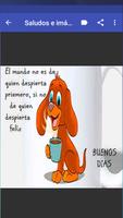 Saludos تصوير الشاشة 3