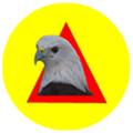 Elang Perkasa