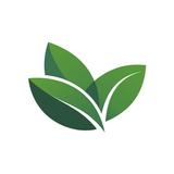 APK Drukhshan - درخشان