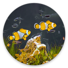 Screensaver - Dreamy Aquarium icône