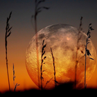 Beautiful Moon Wallpapers آئیکن