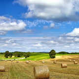 Fonds d'écran de l'agriculture icône