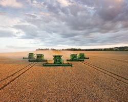 Fonds d'écran de l'agriculture capture d'écran 3