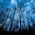 Night Sky And Stars Wallpapers