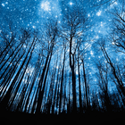 Nachthimmel und Sterne Hintergrund Zeichen