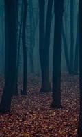 برنامه‌نما Sinister Dark Wallpapers عکس از صفحه