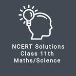 11 NCERT All Subject Solutions