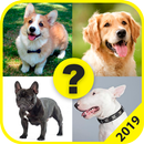 Adivina la Raza de Perro APK