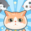 Hyper Kitten