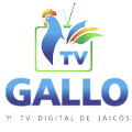 TV Gallo