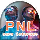 PNL ikon