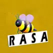 RASA все песни без интернета