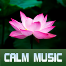 ZEN Calm Music Radios APK