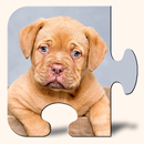 Puzles de Perritos gratis APK