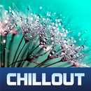 ChillOut Record Live Stations APK