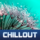 ChillOut Record Live Stations icon