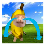 Banana Series - Cat Meme Clue