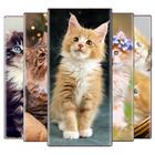 ikon Wallpaper Kucing