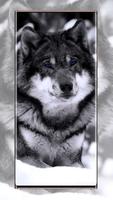 Wolf wallpapers 截图 2