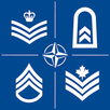 NATO Ranks APK