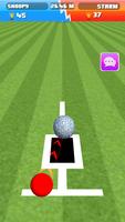 Lawn Bowls скриншот 1