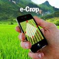 ECrop