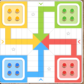 Ludo Game