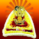 Khatu Shyam JI (Shyam Baba) APK