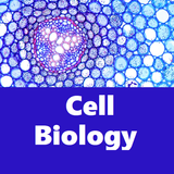 Cell Biology Quiz