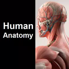 Human Anatomy Quiz APK download