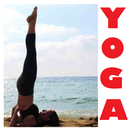 Yoga eBook APK