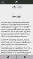 Sırça Köşk Sabahattin Ali screenshot 3