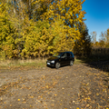 350 слов