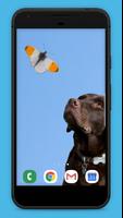 Beautiful Labrador Wallpapers پوسٹر