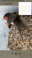 برنامه‌نما Burung Walet Pikatan عکس از صفحه