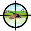 Duck Hunt Lite