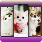 Cute Cats Wallpaper アイコン