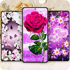 Flower Wallpapers ไอคอน