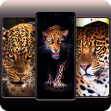 Leopard Wallpapers