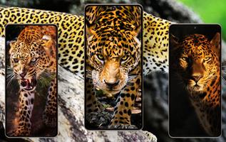 Leopard Wallpapers captura de pantalla 3