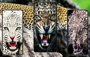 Leopard Wallpapers captura de pantalla 2