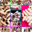 Nail Designs icon