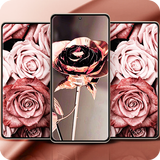 Rose Gold Wallpapers