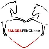 Pferdewissen Sandra Fencl