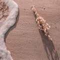 Sand & Sea Wallpapers