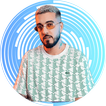 Sanfara icon