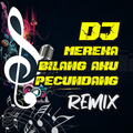 DJ Mereka Bilang Aku Pecundang