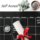 APK Self Access
