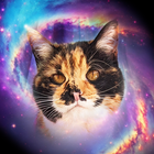 Nébula Tarot Cat ícone